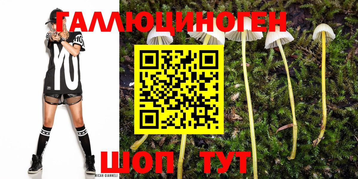 Псилоцибиновые грибы мицелий  Вход с VPN  Ирбит 