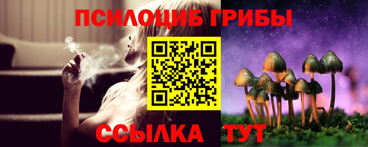 Псилоцибиновые грибы ЛСД Ирбит